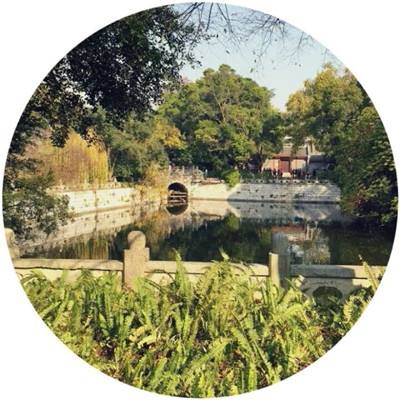 妖精的火龙官方版下载