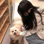 笑傲神曲手游下载